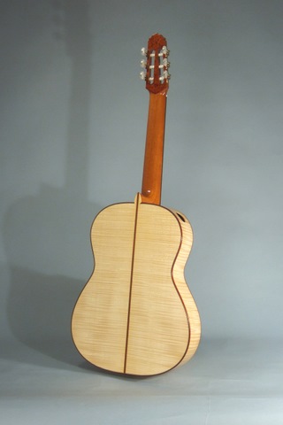 Maple Guitar Back