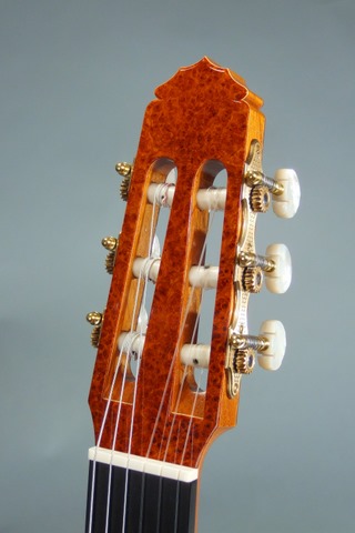 Amboyna Headstock